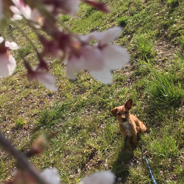 A4dcb890 fdbb 4696 a60f 23f7153c25d3 1555716187046