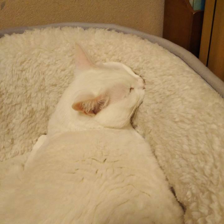 A4dcc9a2 0b0f 4dfe 8c76 e29a14eb9594 1611412675387