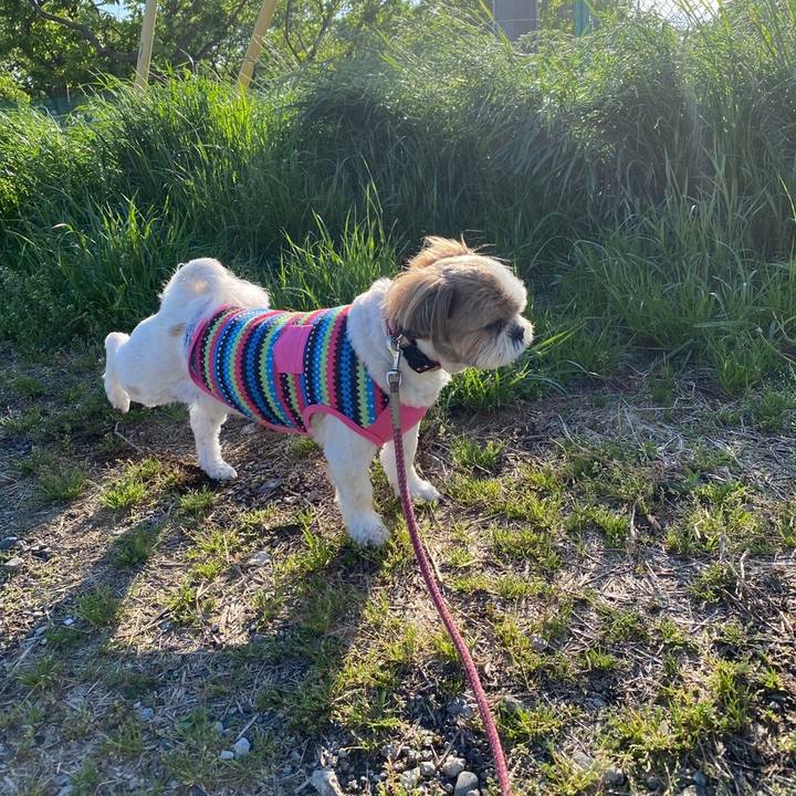 A4dcca11 e5b4 4cb6 ac1d 4d36d02bb002 1588855355456