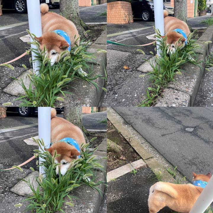 A4dcd865 d04b 4397 9b00 e7570bbd340c 1720827819397