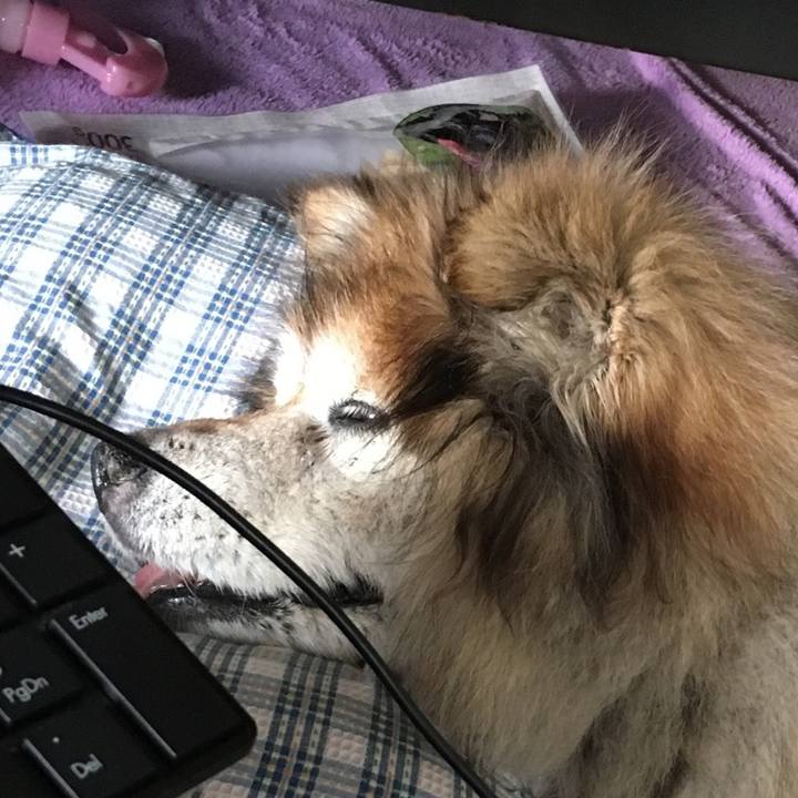 A4dcd917 add8 4d69 b5d9 4f2dfa787a55 1590054937782