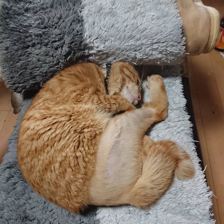 A4dd0daa 05ec 447e 977c 6ff9396cef07 1655250694058