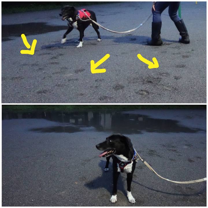 A4dd36a5 5c7e 40c8 b723 8f77e32e90b0 1657883682775