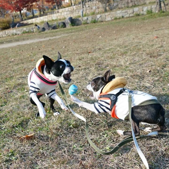 A4dd396a 5acb 4830 a6cf 9363c027e0ae 1511426854829