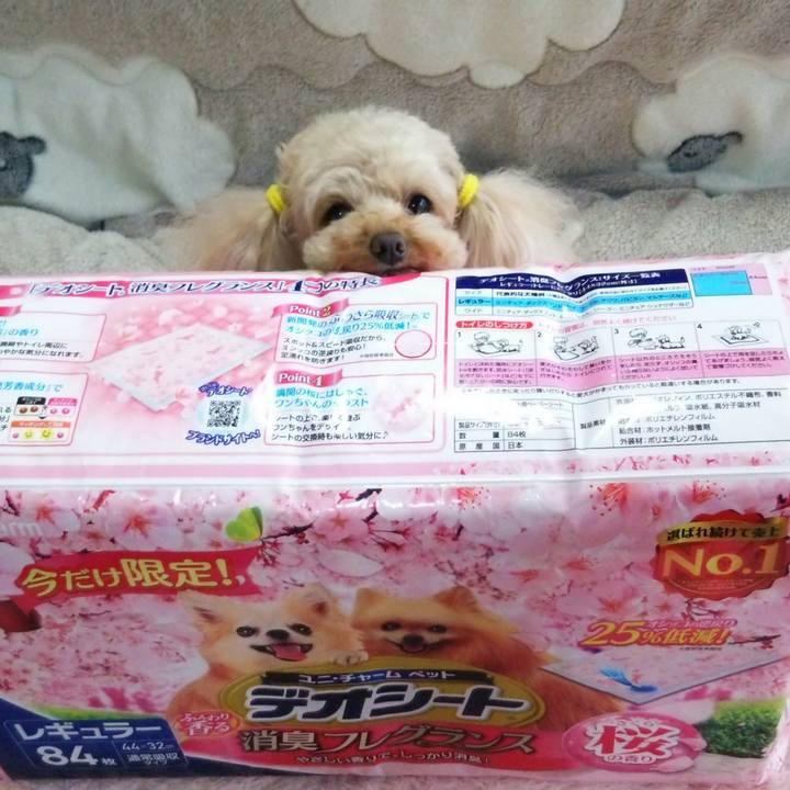 A4dda5d7 2b1d 45d7 bb17 4e1ff2e520db 1523184418453