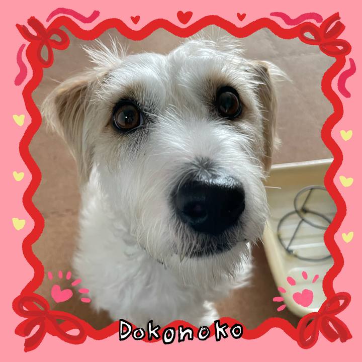 A4ddf166 857a 4159 b7af 80a12a37caa7 1706765855843