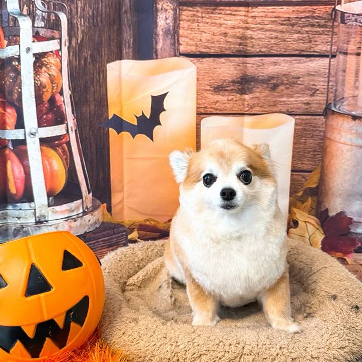 A4ddff14 68b9 44aa 8250 6028aee48869 1761289736574