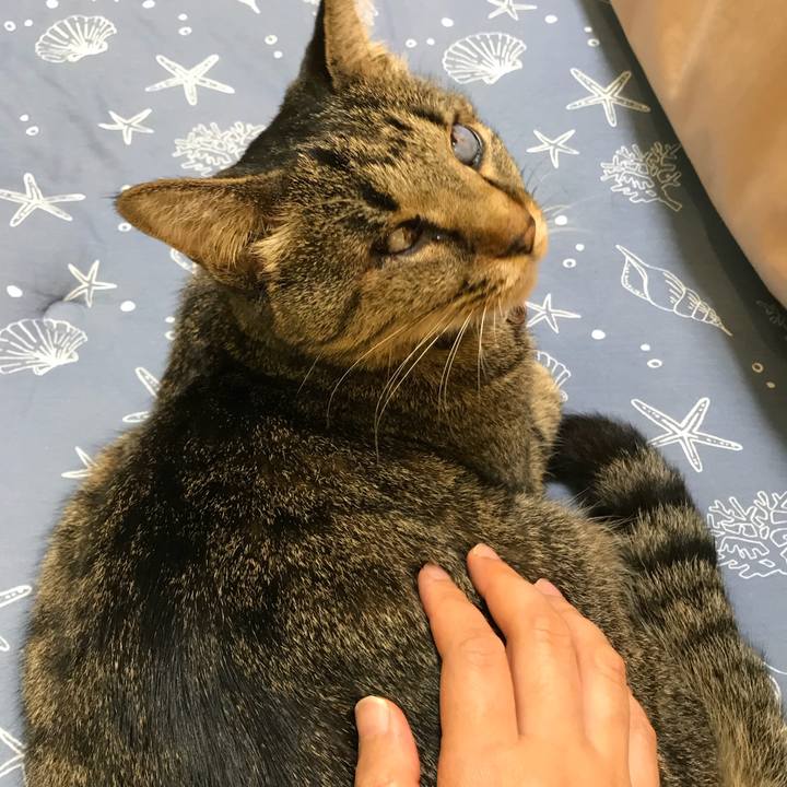 A4de0a7e 41f9 44e5 b099 3dc3fc96ec12 1529236201872