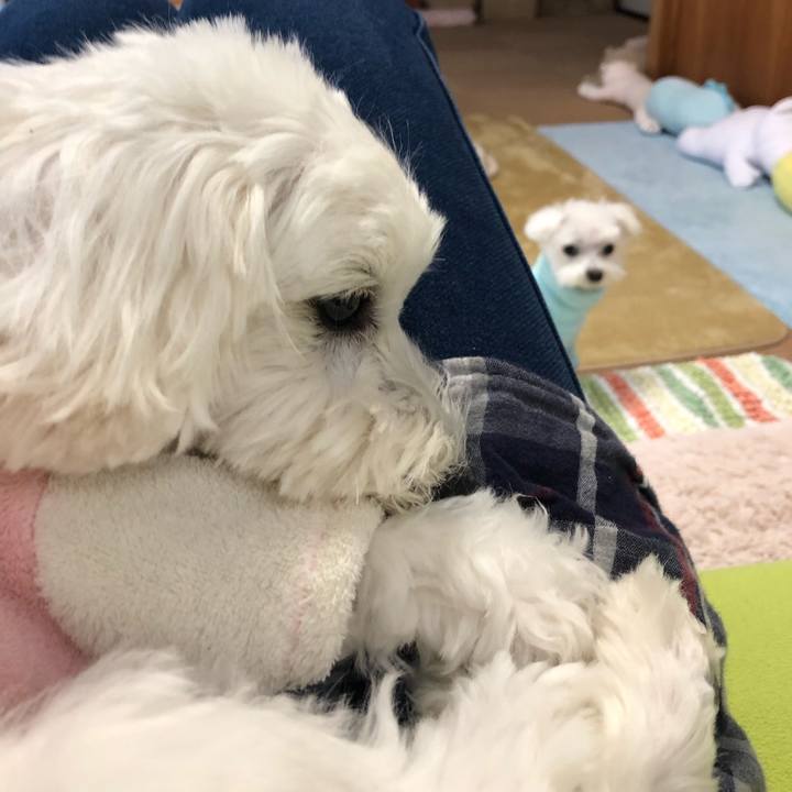 A4de0e33 f327 4d7d 896b 72ddbc633e34 1549949456899