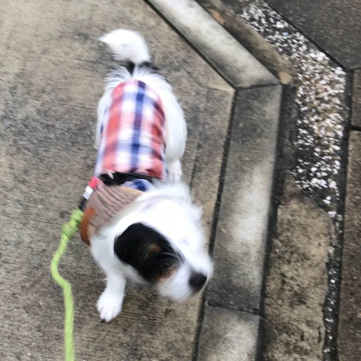 A4de1540 2117 4b2b b476 76de20f04d90 1525741219755