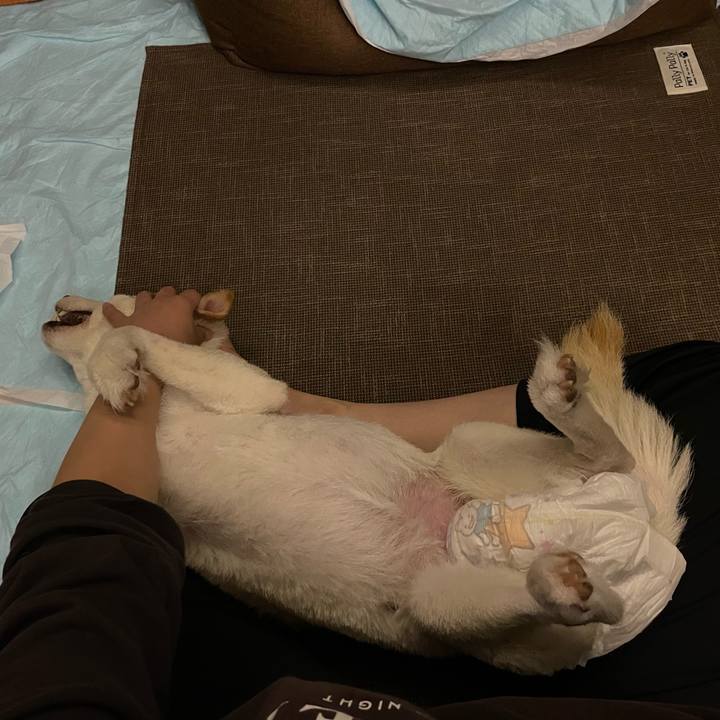 A4de33df 424e 4801 9512 1ac0788d14a0 1667997259316