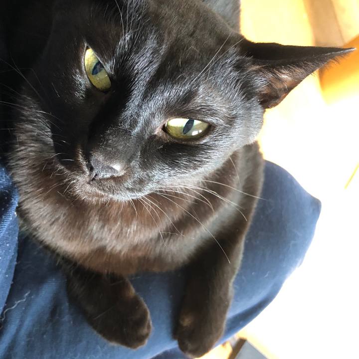 A4de3b20 3ebc 40b8 9ced 1e6f682937b6 1716679521603