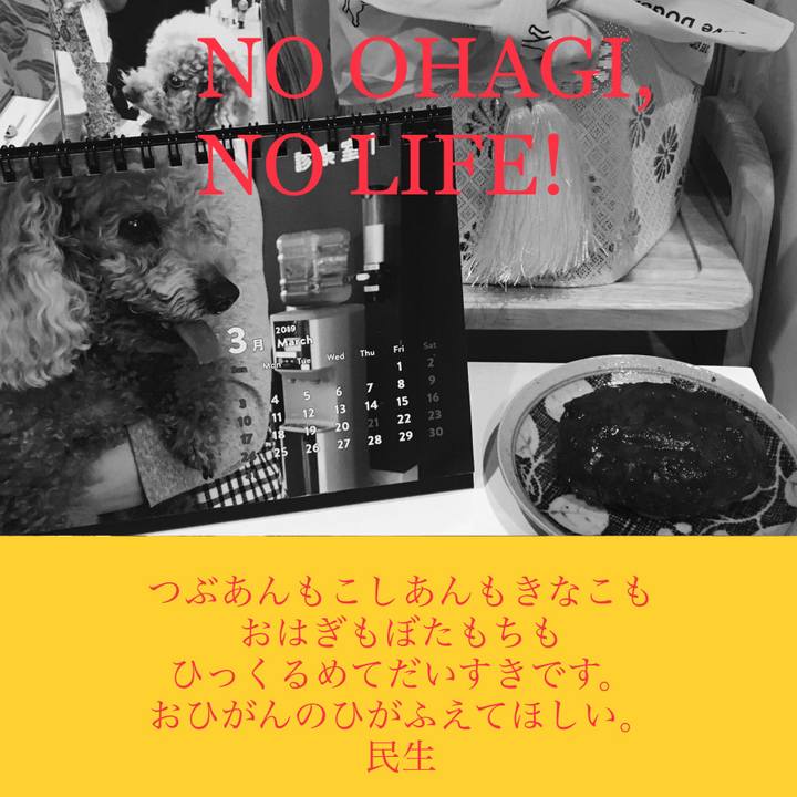 A4de5a10 1376 4da1 bef1 a8fbceecf7e7 1553347400274