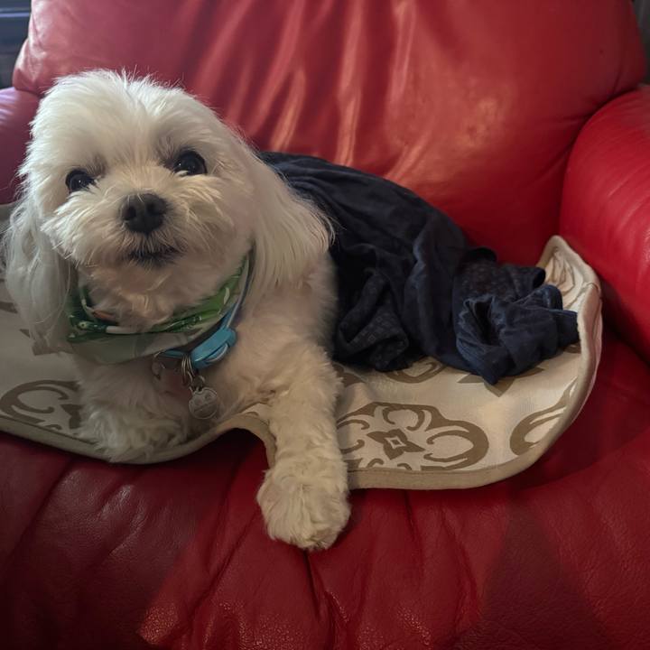 A4de6e12 0ea5 4258 8775 8399211aed01 1784006768760
