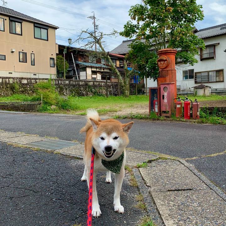 A4de92ba 0cc3 429a 8b46 1308935250d6 1694950056389