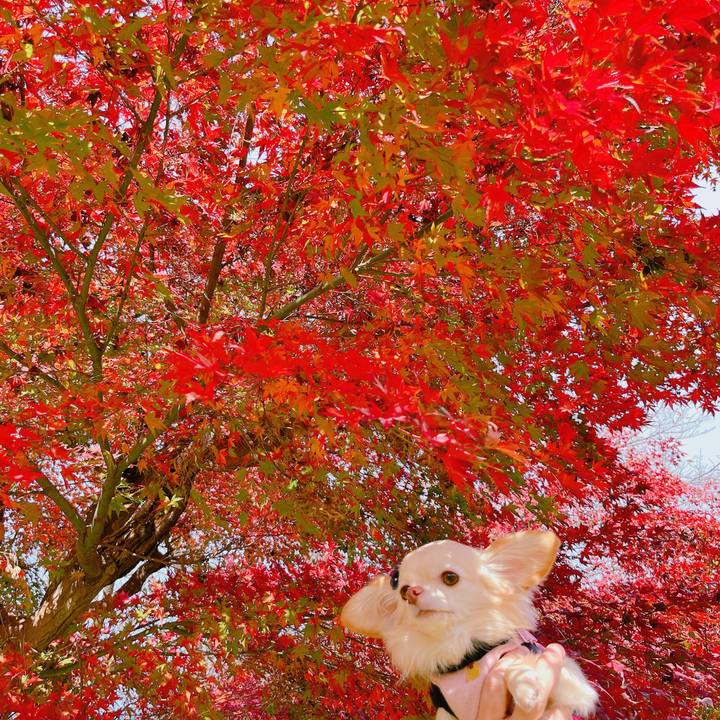 A4dea53a ef39 4083 983d e38c8a626de4 1669281601535