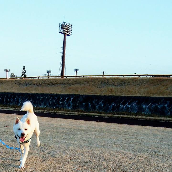 A4deabc1 3803 4945 b335 821326e5e179 1545561715798