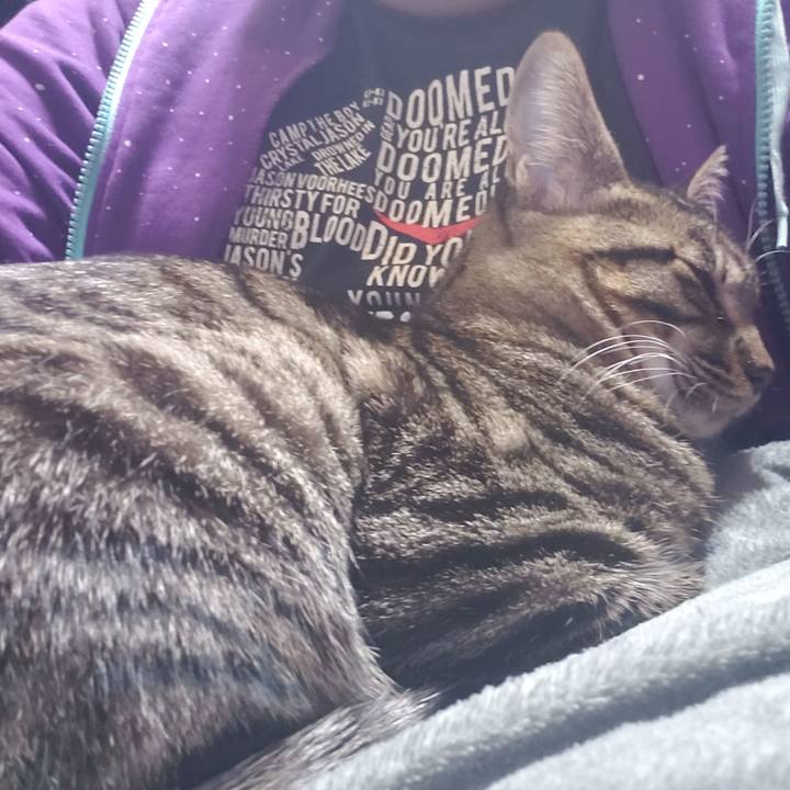 A4defe22 0960 44c7 9cbd f6daccb1e287 1545920957187