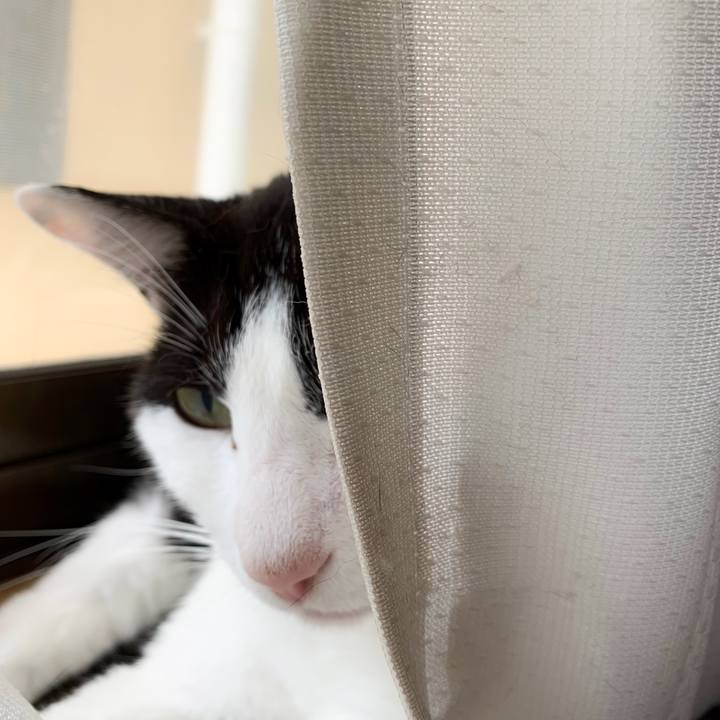 A4df10e6 41ca 451e bd6f 347665390c4e 1564187318941