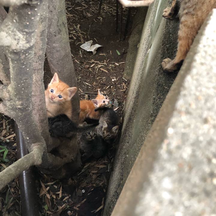 A4df2f86 c650 4cce 8d7b d0c1ea7c492a 1600324683211