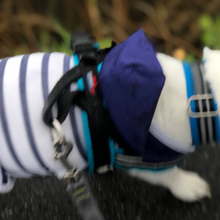 A4df4423 04e4 4d08 903b ed894c255a26 1688267937034