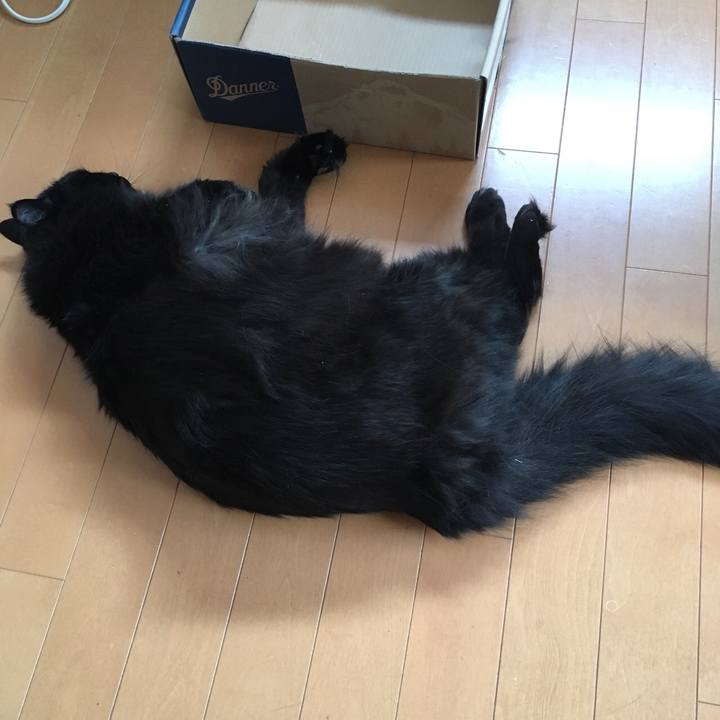 A4df6650 ada6 434b 9fe9 ba1663dbec0d 1556321607003