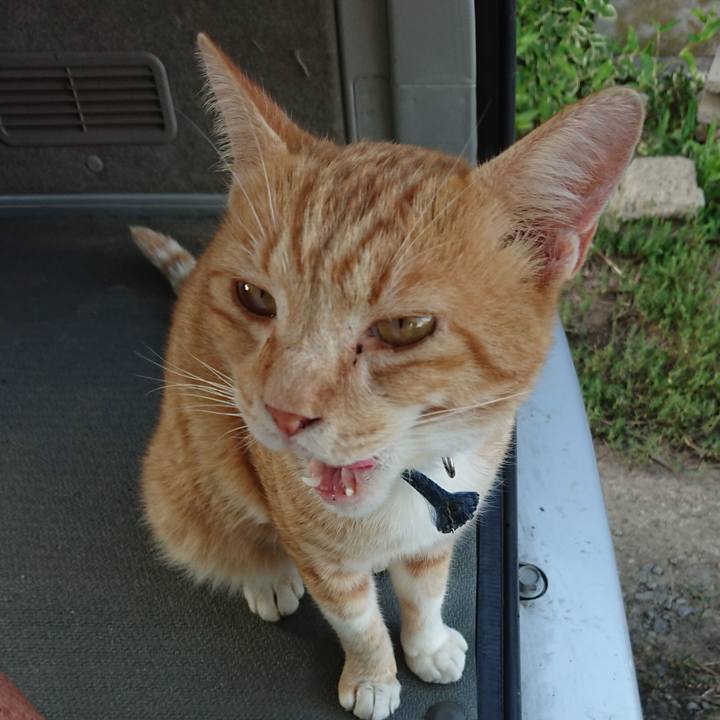 A4df7868 e834 42ae bf49 605985638142 1564045976696