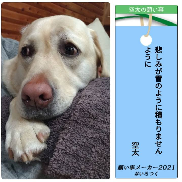 A4e020d5 a8d2 4b47 b8b9 bf782a7aba53 1625570406691