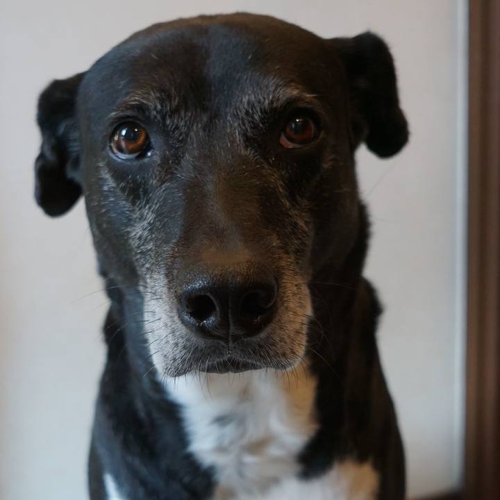 A4e04399 1e94 4d5a 9ef1 85d960f2c8c7 1767574438241