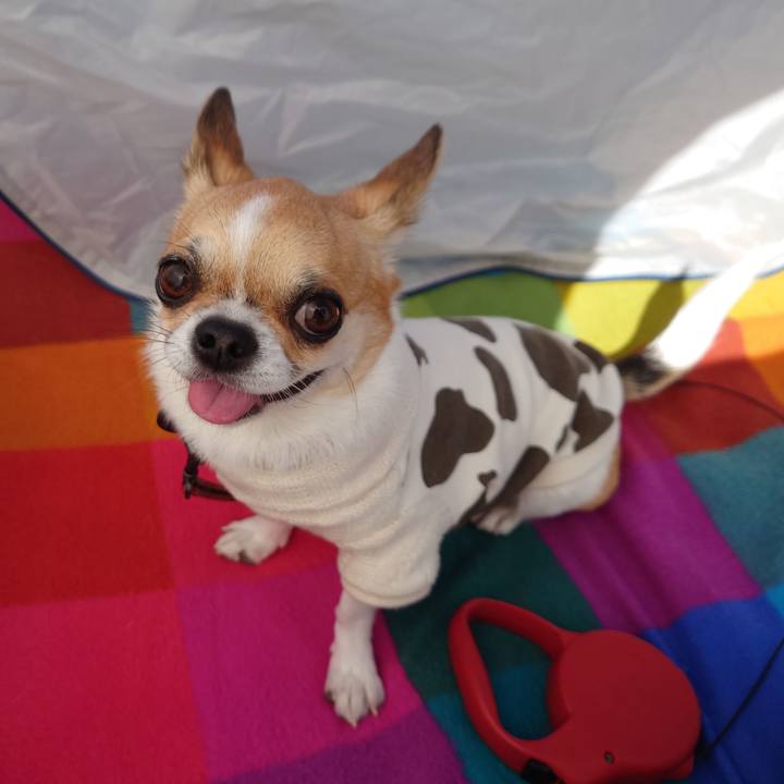 A4e06235 18d5 4199 a2cf 7439d1d671ff 1635836421944