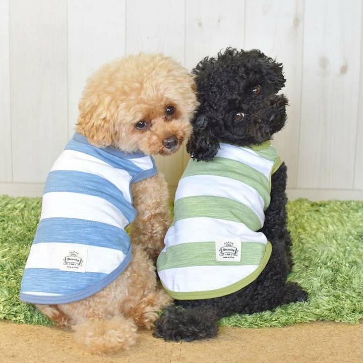 A4e0939e 63ed 4742 9f20 8cc63432b076 1593527772597