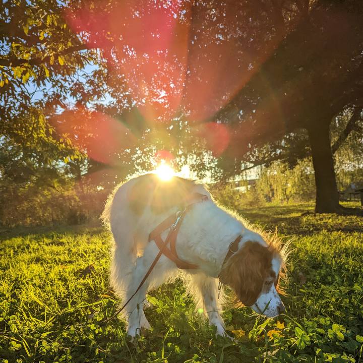 A4e0a801 dd1a 48bb b94b b04246361213 1667463993963