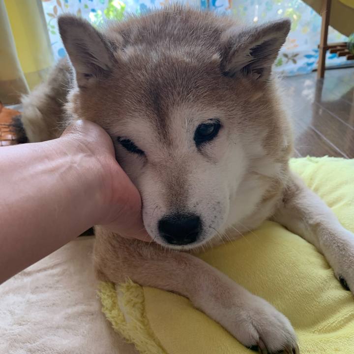 A4e0d4c0 0db0 4675 b58d c1ec52cdb277 1622367610688