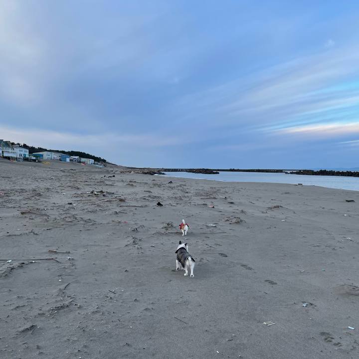 A4e13222 1cea 44f8 a9a8 4671fe2ff7e4 1736119246593