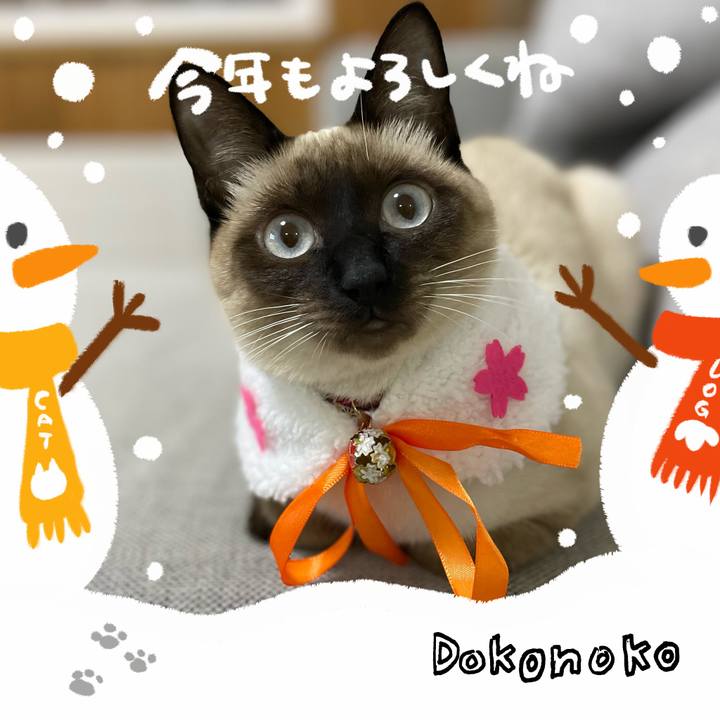 A4e14a2a eef7 4f83 a10a a127e72a68b2 1704139726074