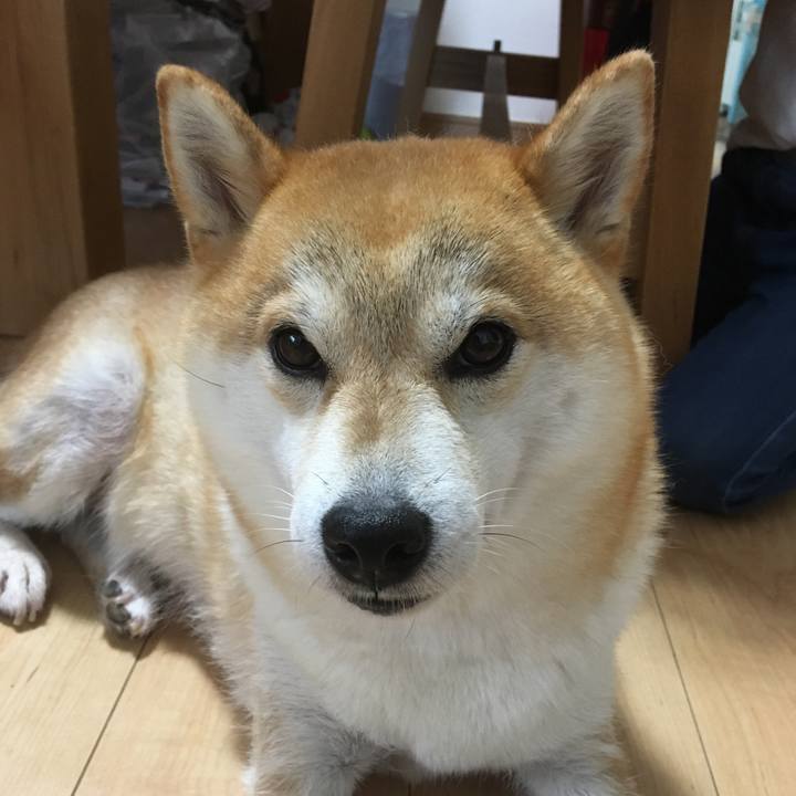 A4e1594b a5df 47ee a1ec 277d3e840cd3 1535882765463