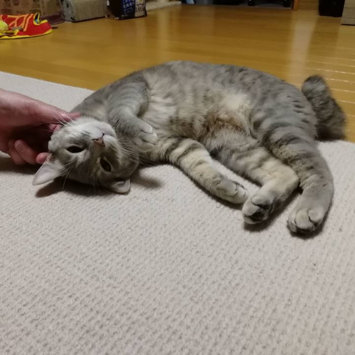 A4e15e61 42c4 4e68 a3d7 947aa497a04b 1522326985851