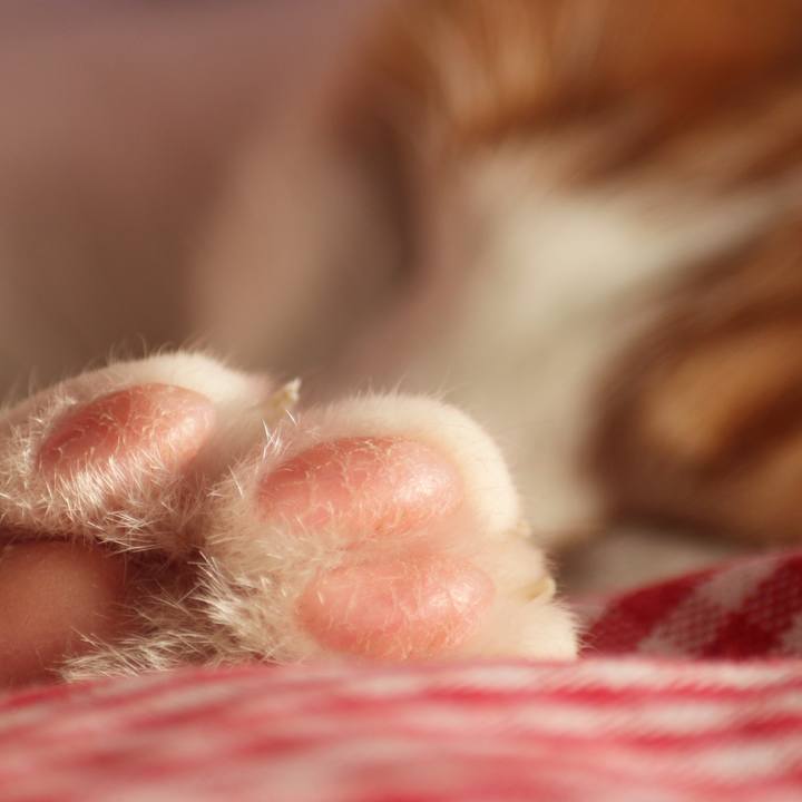 A4e16688 081c 4256 8738 10eea3084955 1517208597587