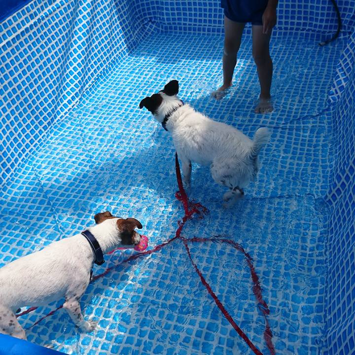 A4e1c00c 48d2 44be 8817 557cb4a9ea61 1596944636114