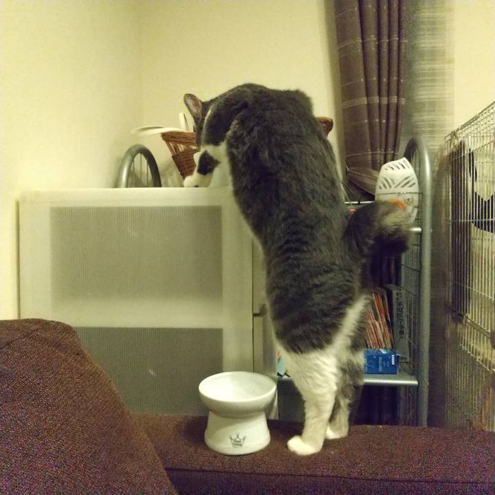 A4e1f764 1569 4eb9 a9f6 a7c5b03746c4 1626181052251