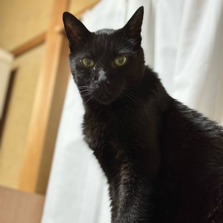 A4e21f97 c4a4 4ef3 8bd7 68d265683a81 1689038608086