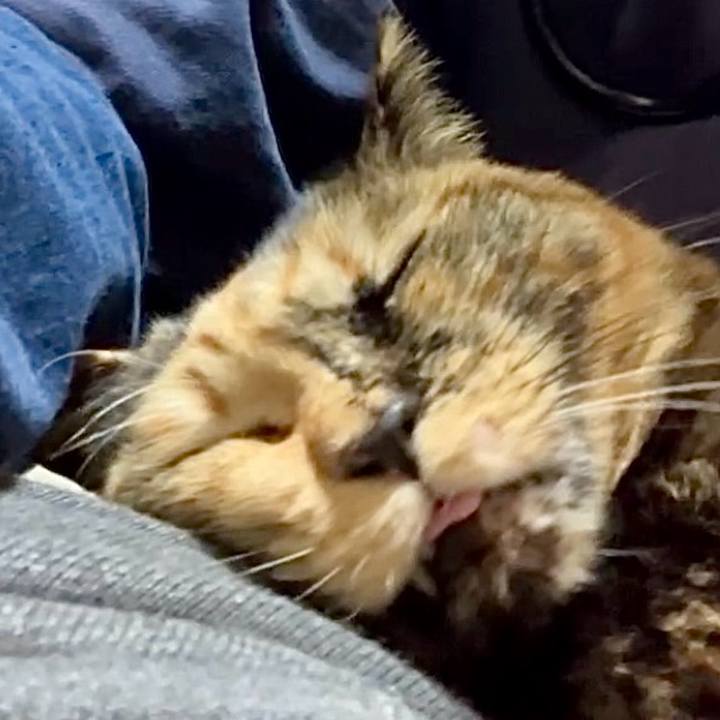 A4e22fb7 a487 4a72 8bd9 30205c0493b3 1732873293196