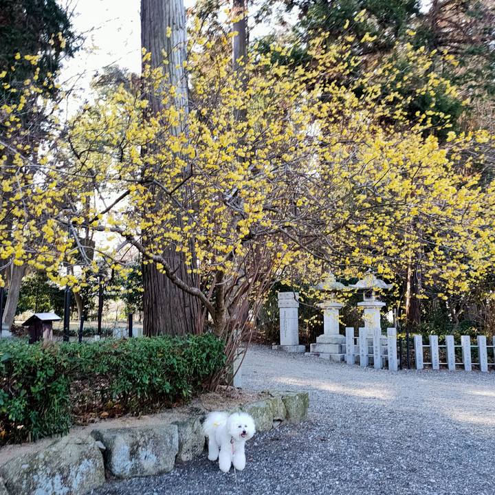 A4e24038 87ca 49ff 989c 99b6f1679ddf 1768809099750