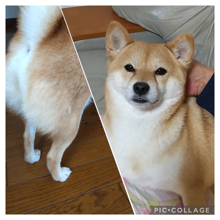 A4e25faf 9082 45c4 8863 53096c13053e 1673512826452