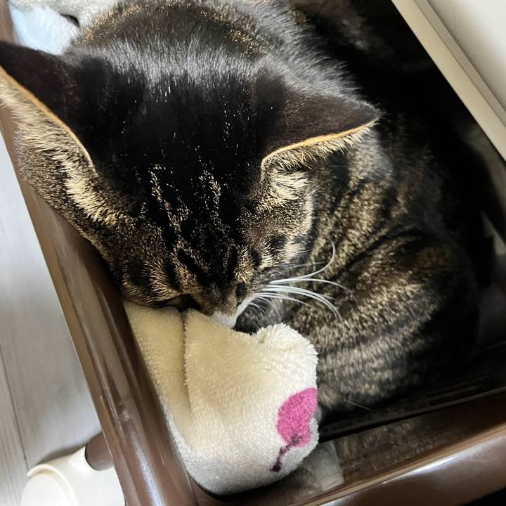 A4e2726d 7216 4144 b632 53eeebfba8a5 1773791077081