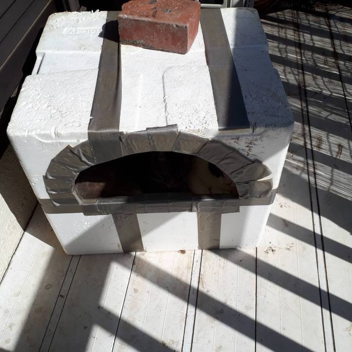 A4e28d25 dad9 4df6 b341 8bee91a06aad 1582458443329