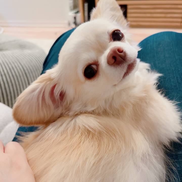 A4e2d36b dd63 49d0 bfea b1ba3f903501 1716977746964