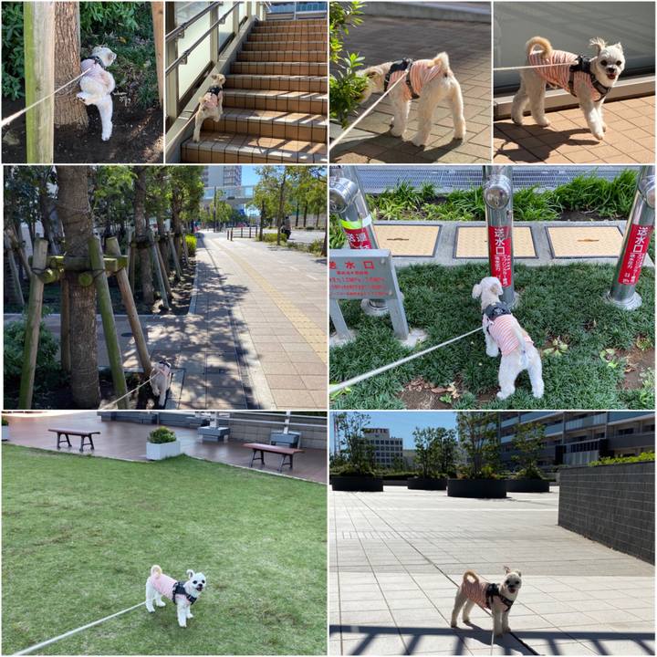 A4e2e940 1779 44a7 a65f 3ca9fe5ddca1 1570936411826