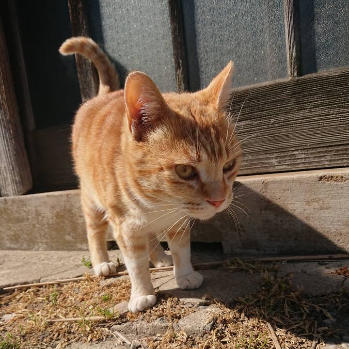 A4e2eb56 43ee 440d 8771 b6e9dda12573 1586582843588