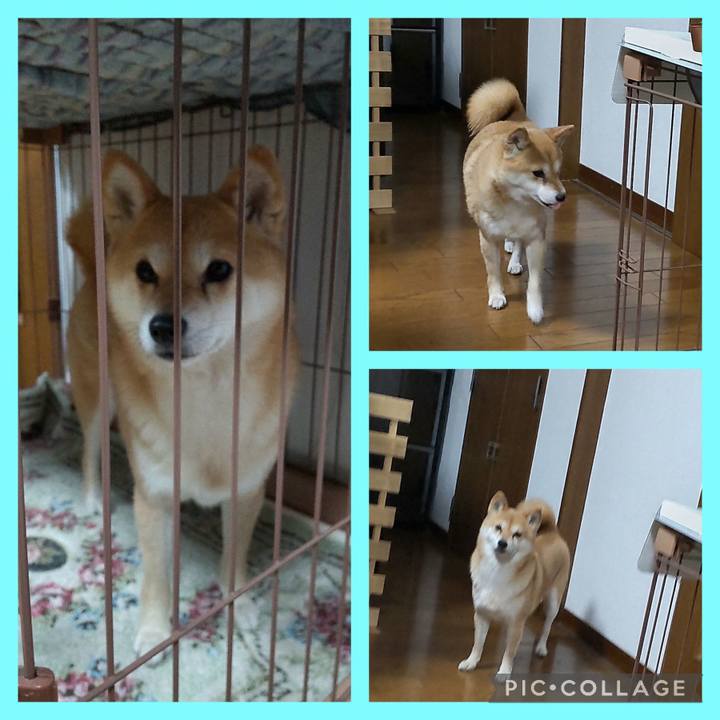 A4e2ec5b deea 4834 b3bc aa23f494d5e7 1742607334560